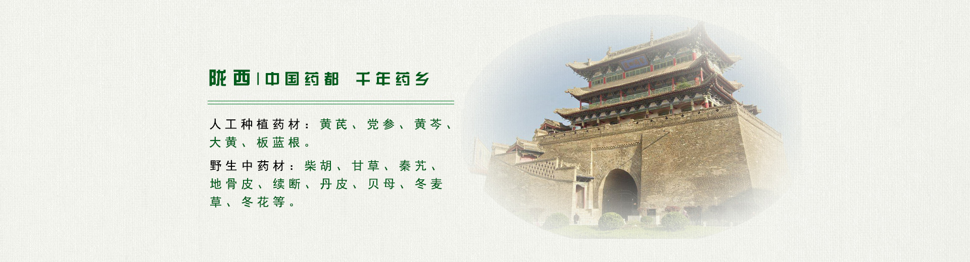 陇西中药 陇西中药